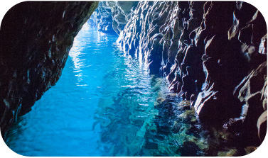青色洞窟・爱的洞窟探险和品尝渔师的浜烧烤的体验