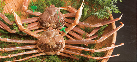 Taiza crab